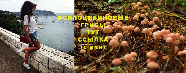 наркотики Алексин