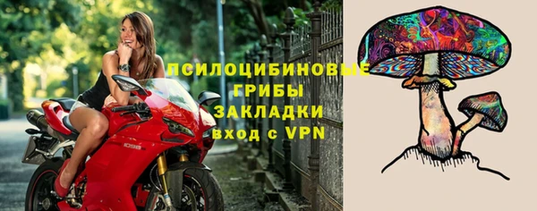 ALPHA PVP Алзамай
