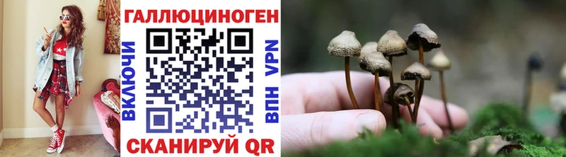 где продают наркотики  Еманжелинск  Галлюциногенные грибы прущие грибы 