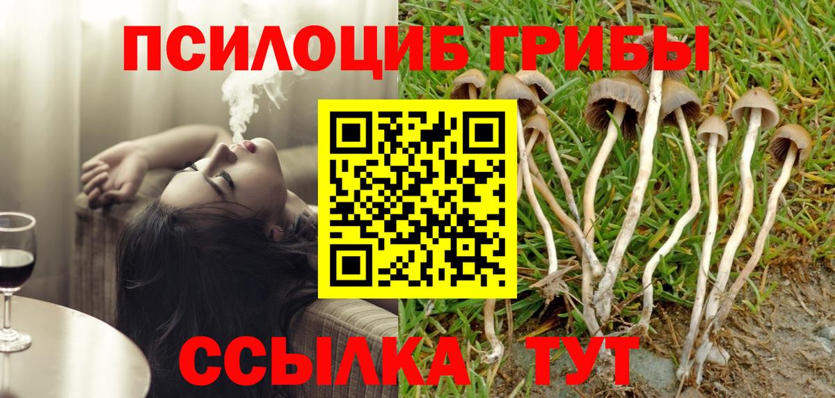 Галлюциногенные грибы прущие грибы  Вход с VPN  Псилоцибиновые грибы прущие грибы  Еманжелинск 